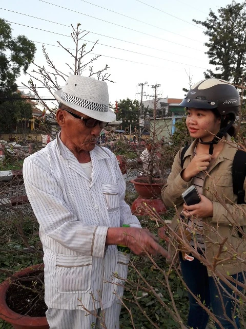 Nghe nghệ nhân bày cách chơi mai ngày tết ảnh 3 Nghe nghệ nhân bày cách chơi mai ngày tết ảnh 3