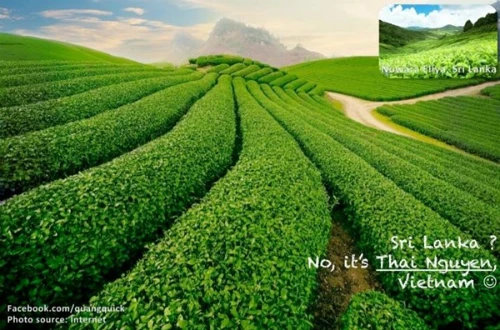 Bộ ảnh ghép Việt Nam đẹp ngỡ ngàng không thua kém thế giới ảnh 12 title-11