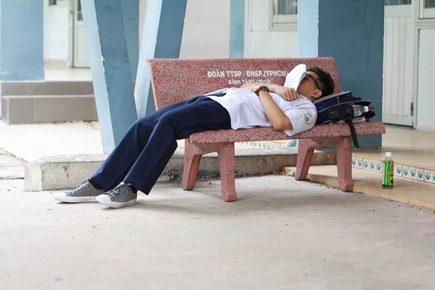 Thương những giấc ngủ thí sinh ảnh 3 Thương những giấc ngủ thí sinh ảnh 3