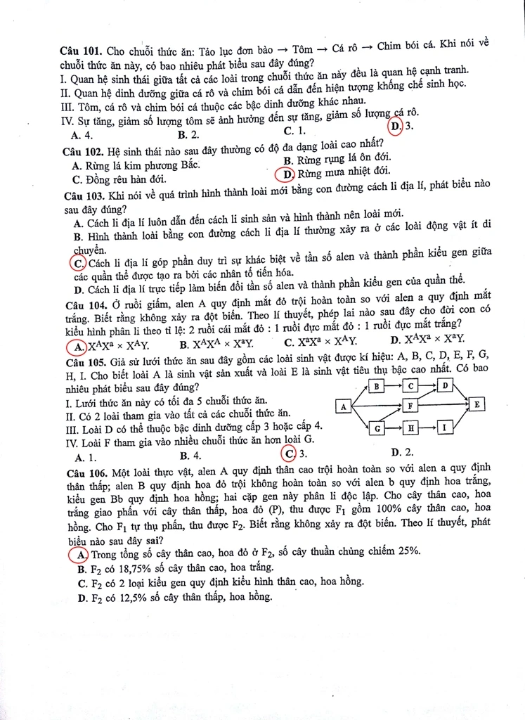 Đề thi, gợi ý bài giải môn Sinh học ảnh 6 Đề thi, gợi ý bài giải môn Sinh học ảnh 6