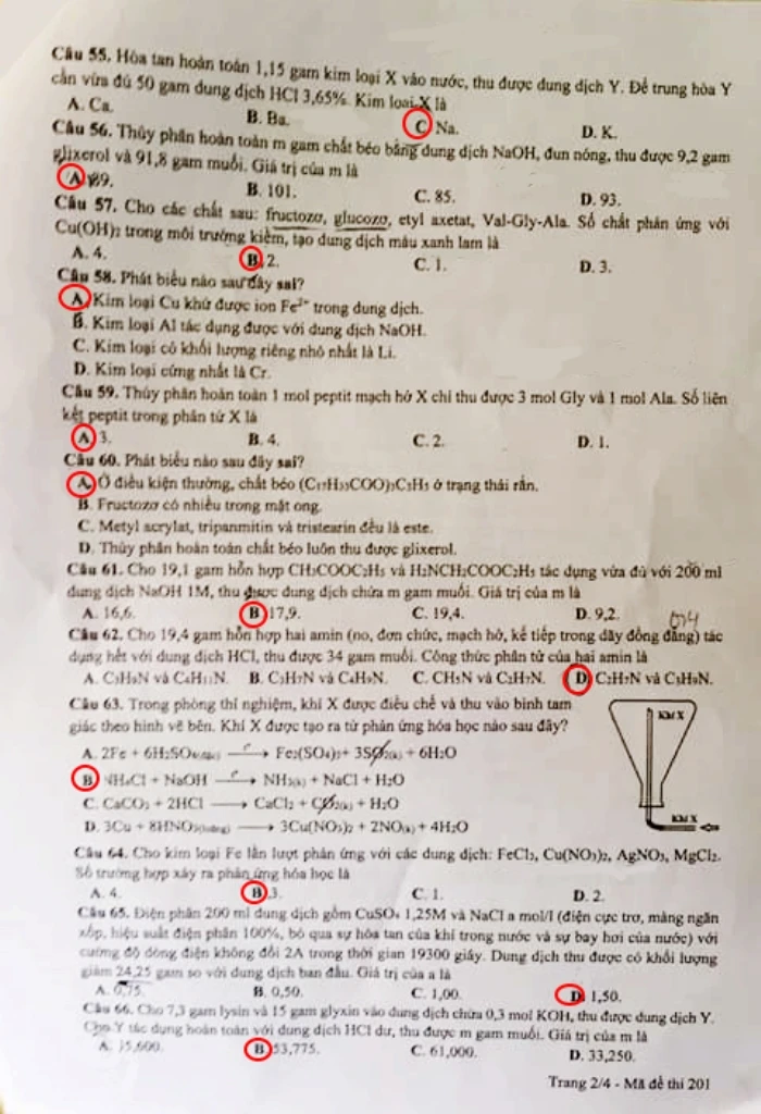 Đề thi, gợi ý bài giải các mã đề môn Hóa học ảnh 10 Đề thi, gợi ý bài giải các mã đề môn Hóa học ảnh 10