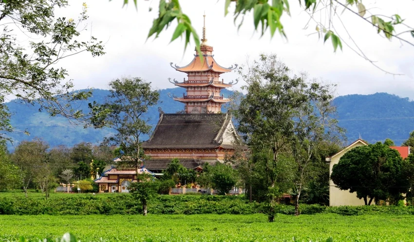 Con đường thôn với hàng thông cổ 100 tuổi đẹp ngất ngây ảnh 4