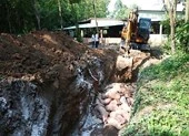 Thủ tướng yêu cầu chống dịch tả lợn châu Phi như chống giặc