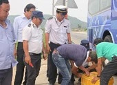 Tỉnh thứ 58 bị dịch tả heo châu Phi 'bất ngờ đổ bộ'
