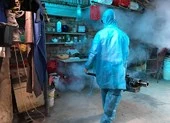 TP.HCM xử phạt hơn 1.000 trường hợp cố tình 'nuôi' lăng quăng