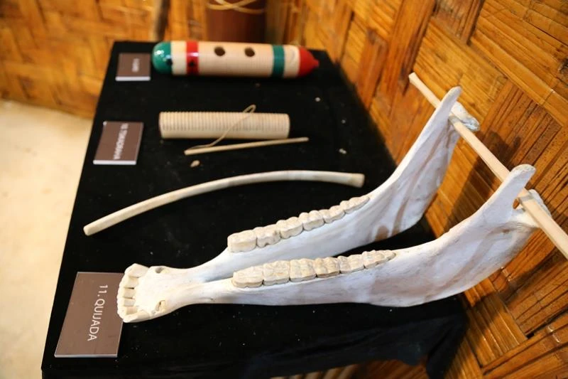Tới Đắk Nông ngắm kèn thổi thần chết Aztec của người Maya ảnh 6 Tới Đắk Nông ngắm kèn thổi thần chết Aztec của người Maya ảnh 6