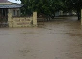 Đắk Lắk, Lâm Đồng: Hoa màu chìm trong biển nước