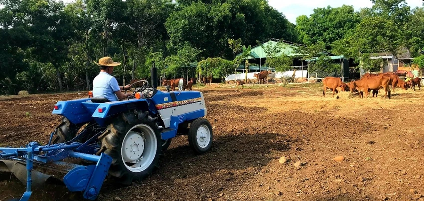 Cùng thầy trò GS Nguyễn Văn Thuận chờ 'khai sinh' bò nhân bản ảnh 3