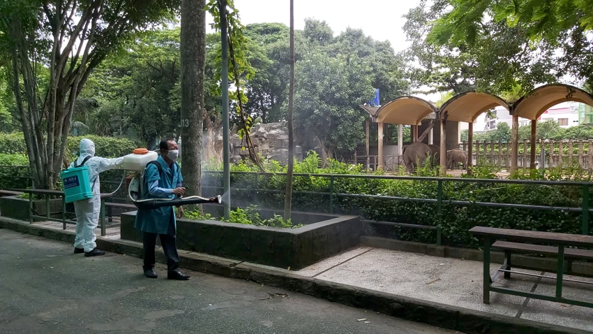 Thảo Cầm Viên được phun khử trùng, duy trì hoạt động ảnh 5 Thảo Cầm Viên được phun khử trùng, duy trì hoạt động ảnh 5
