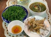 Mùa nước lụt bắt cá ngạnh ở miền Trung quê tôi