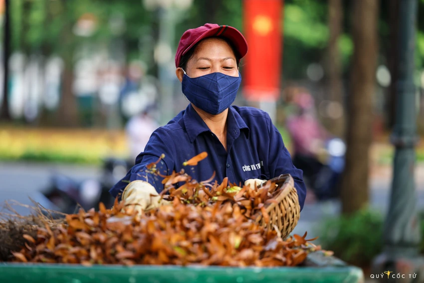 Sài Gòn nhung nhớ những mùa dầu xoay ảnh 5 Sài Gòn nhung nhớ những mùa dầu xoay ảnh 5