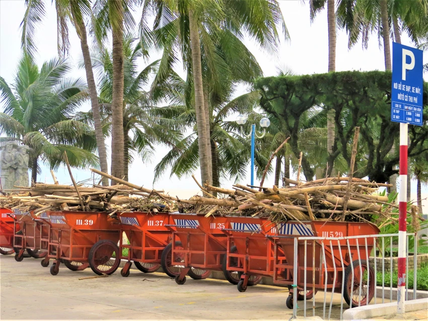 Hàng trăm đoàn viên công an, biên phòng... làm đẹp bờ biển Nha Trang ảnh 2 Hàng trăm đoàn viên công an, biên phòng... làm đẹp bờ biển Nha Trang ảnh 2