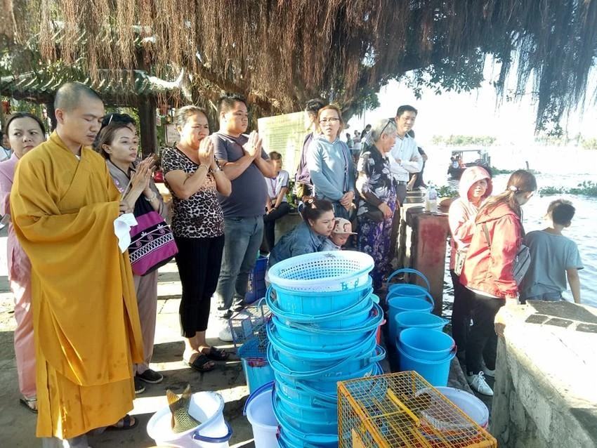 Phóng sinh tổ chức tại chùa. Ảnh: TRÚC PHƯƠNG Phóng sinh tổ chức tại chùa. Ảnh: TRÚC PHƯƠNG