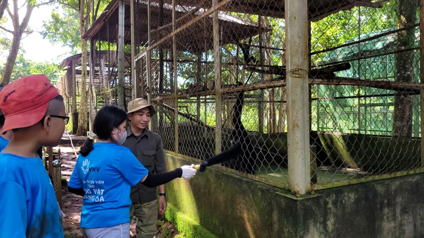 Các tình nguyện viên tham gia chăm sóc động vật bảo hộ được cứu hộ tại Trung tâm Cứu hộ, bảo tồn và Phát triển sinh vật – Vườn Quốc gia Bù Gia Mập. Các tình nguyện viên tham gia chăm sóc động vật bảo hộ được cứu hộ tại Trung tâm Cứu hộ, bảo tồn và Phát triển sinh vật – Vườn Quốc gia Bù Gia Mập.