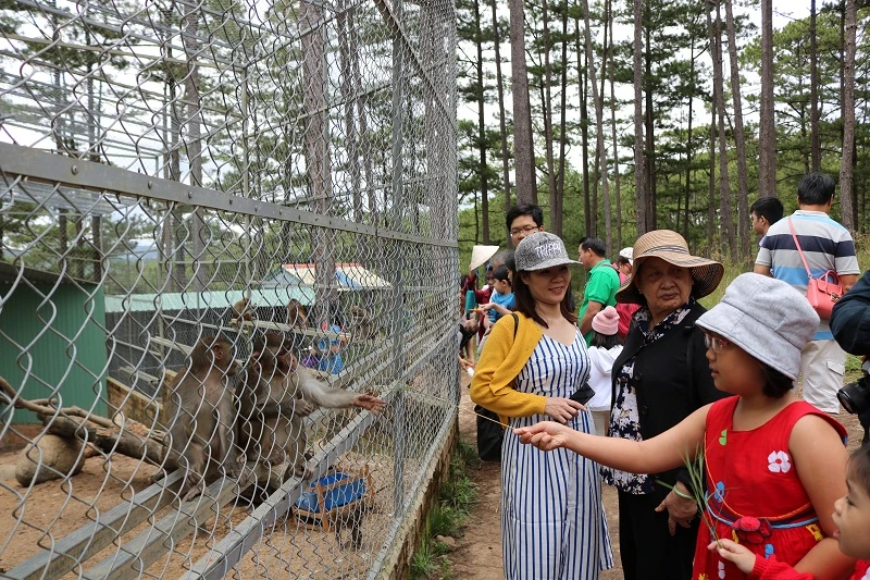 Check in Đà Lạt, ghé Zoo Doo chơi cùng kangaroo ảnh 9 Check in Đà Lạt, ghé Zoo Doo chơi cùng kangaroo ảnh 9