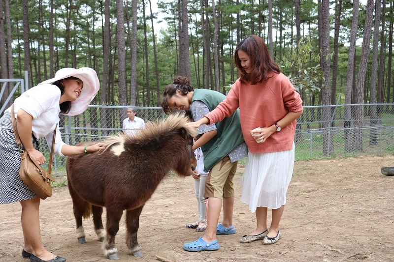 Check in Đà Lạt, ghé Zoo Doo chơi cùng kangaroo ảnh 16 Check in Đà Lạt, ghé Zoo Doo chơi cùng kangaroo ảnh 16