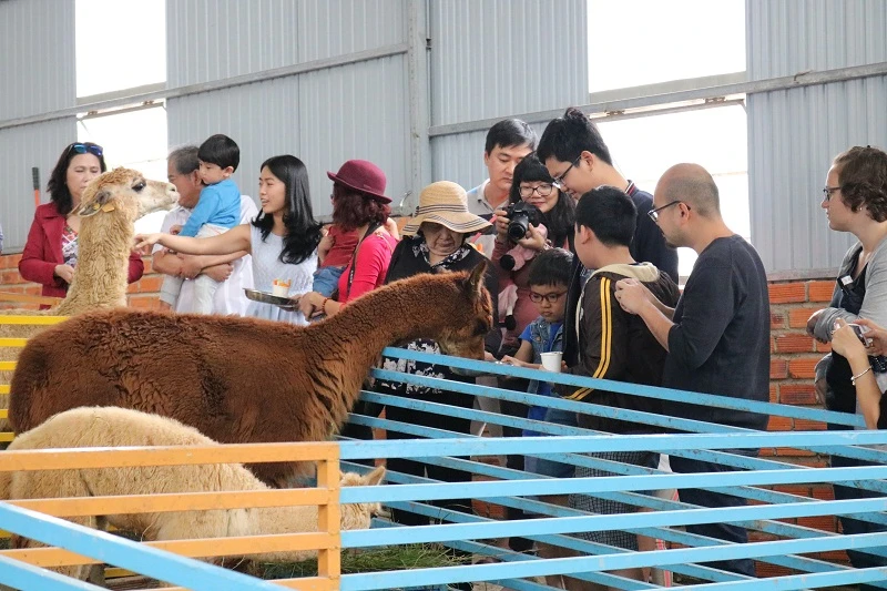 Check in Đà Lạt, ghé Zoo Doo chơi cùng kangaroo ảnh 2 Check in Đà Lạt, ghé Zoo Doo chơi cùng kangaroo ảnh 2