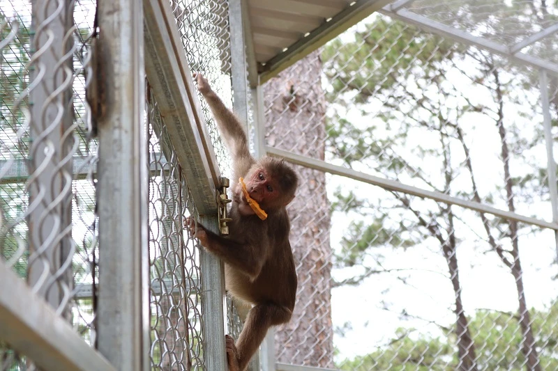 Check in Đà Lạt, ghé Zoo Doo chơi cùng kangaroo ảnh 10 Check in Đà Lạt, ghé Zoo Doo chơi cùng kangaroo ảnh 10