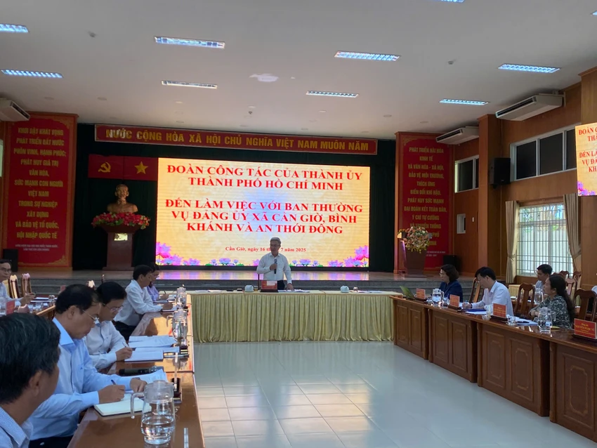 Phó Bí thư Thành ủy TP.HCM Đặng Minh Thông khảo sát mô hình chính quyền địa phương hai cấp- chính quyền địa phương hai cấp.jpg