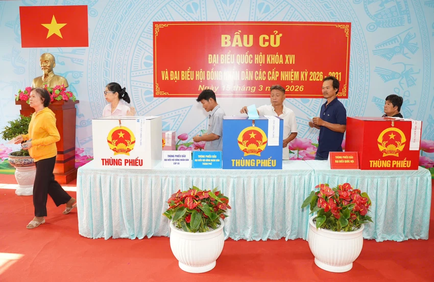 bau-cu-tphcm.jpg
