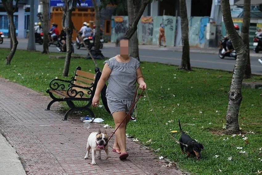 Chó ở nơi công cộng không rọ mõm. Ảnh: H.G Chó ở nơi công cộng không rọ mõm. Ảnh: H.G