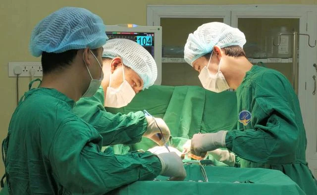 dùng ong đốt chữa ung thư vú