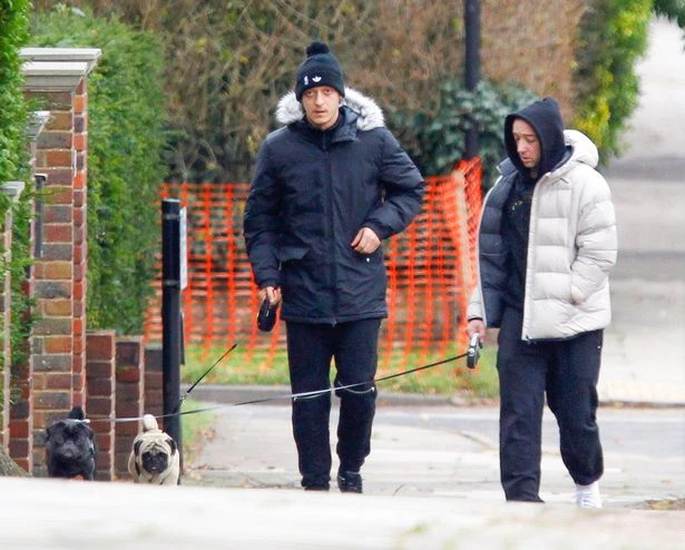 Mesut Ozil chơi bóng với cún cưng Paul Pugboa ảnh 1 Mesut Ozil chơi bóng với cún cưng Paul Pugboa ảnh 1