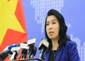 29 công dân Việt Nam ở Hồ Bắc có nguyện vọng về nước