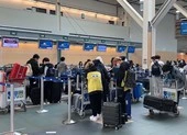 Đưa 276 công dân Việt Nam từ Canada về nước