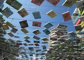 Bầu trời sách