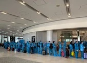 Hơn 340 công dân Việt Nam từ Nhật Bản về nước