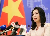 Việt Nam phản đối Trung Quốc xây dựng cáp ngầm ở Hoàng Sa