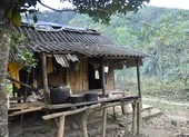 Nhiều người ở miền núi Quảng Bình vào rừng trốn dịch COVID-19