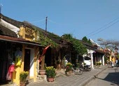 Thành lập Hội đồng di sản văn hóa quốc gia