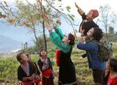 Miền cao Y Tý tuyệt đẹp trong MV "Nhà em ở lưng đồi"
