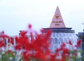 Giải chạy truyền cảm hứng xanh trên cung đường Tây Ninh