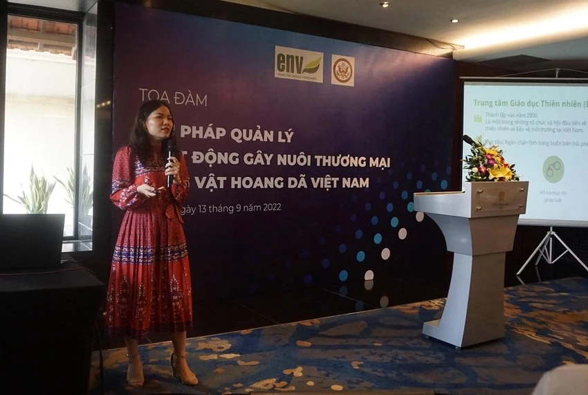 Bà Bùi Thị Hà, Phó Giám đốc ENV. Ảnh: VT Bà Bùi Thị Hà, Phó Giám đốc ENV. Ảnh: VT