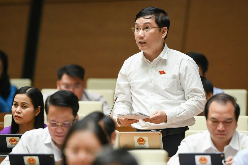 ĐB Lê Hoàng Anh (Gia Lai).