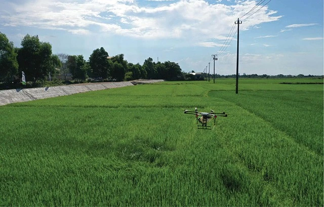 Máy bay không người lái trình diễn phun thuốc bảo vệ thực vật trên cánh đồng. Ảnh Báo Thừa Thiên - Huế Máy bay không người lái trình diễn phun thuốc bảo vệ thực vật trên cánh đồng. Ảnh Báo Thừa Thiên - Huế