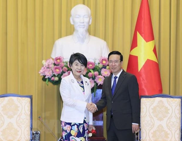 vietnam_nhat_ban_2.jpg