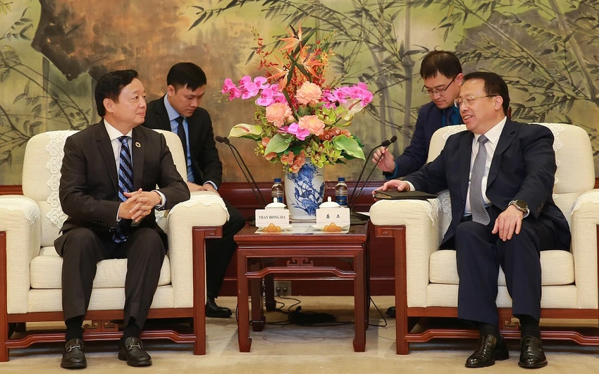 thi-truong-thuong-hai.jpg