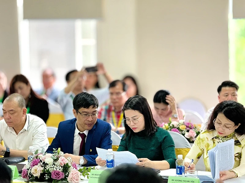 ninh-binh-thanh-hoa-nghe-an-ha-tinh-huong-toi-mot-hanh-trinh-nhieu-trai-nghiem-2.jpg