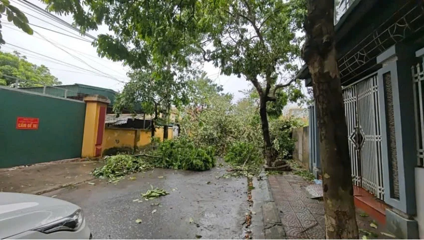 bão số 3