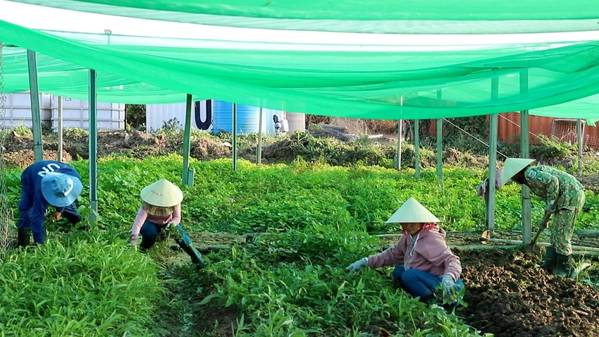 lan-toa-hinh-anh-bo-doi-cu-ho-giua-long-chau-phi--4.jpg