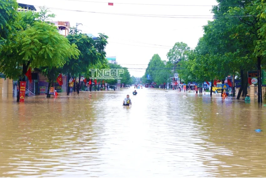 bay tìm kiếm cứu hộ