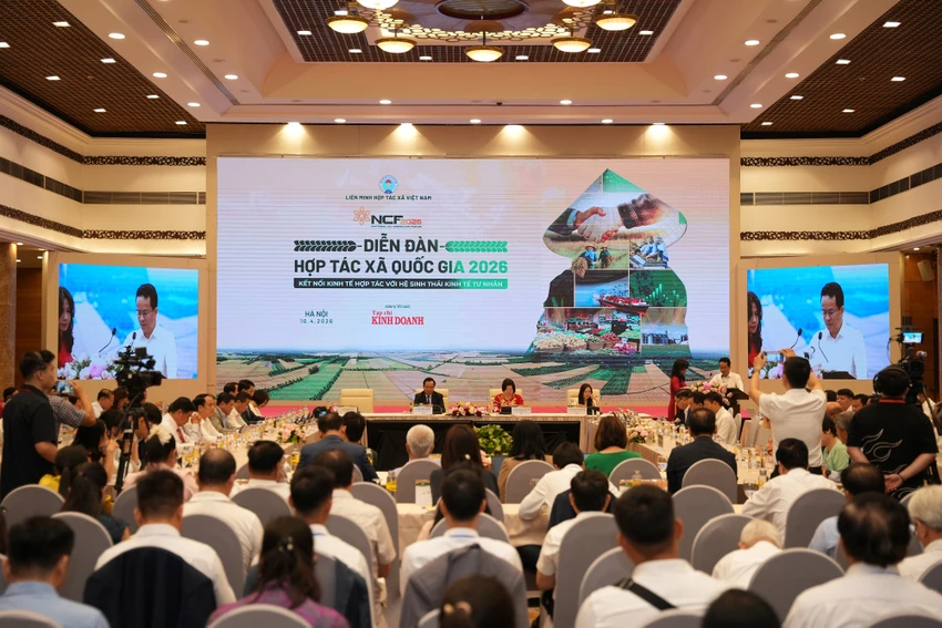 hop-tac-xa-kho-tiep-can-von-vi-thieu-minh-bach-dong-tien-4.JPG