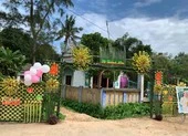 Đám cưới quê đơn sơ bên cổng lá 