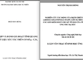 Dự án đạt giải khoa học kỹ thuật của học sinh trung học giống luận văn thạc sĩ?