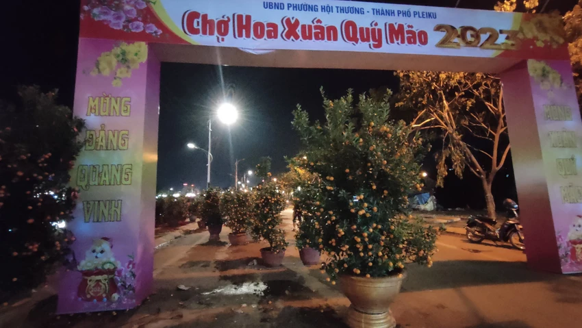 Một điểm chợ hoa xuân ở TP Pleiku. ẢNH: LÊ KIẾN Một điểm chợ hoa xuân ở TP Pleiku. ẢNH: LÊ KIẾN