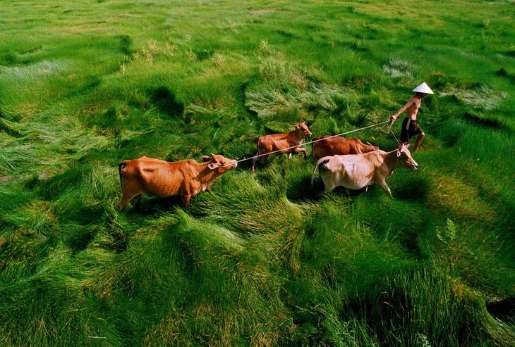 Tác phẩm Băng đồng của Hoàng Thạch Vân Tác phẩm Băng đồng của Hoàng Thạch Vân